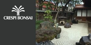 Crespi Bonsai Crespi Bonsai