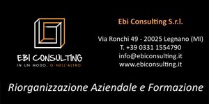 EBI Consulting